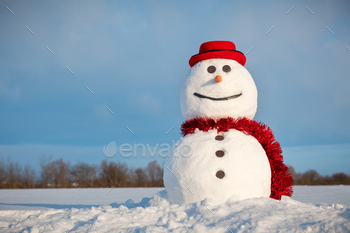 Funny snowman in stylish red hat / Photodune, Misc