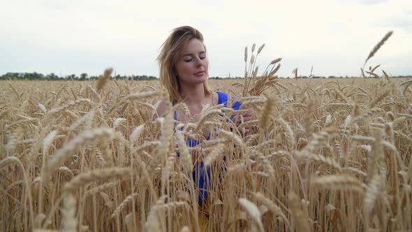 Beautiful Ukrainian Woman Wearing Dress in Ukrainian National Flag Colours Blue and Yellow at Wheat