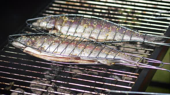 Tasty Whole Fishes Placed on Barbecue Grill