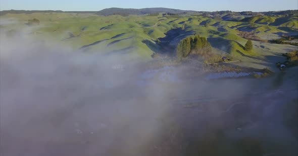 New Zealand landscape in mist