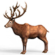 Red Deer With PBR Textures - 3DOcean Item for Sale