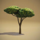 Cartoon Acacia Tree 3D Model - 3DOcean Item for Sale