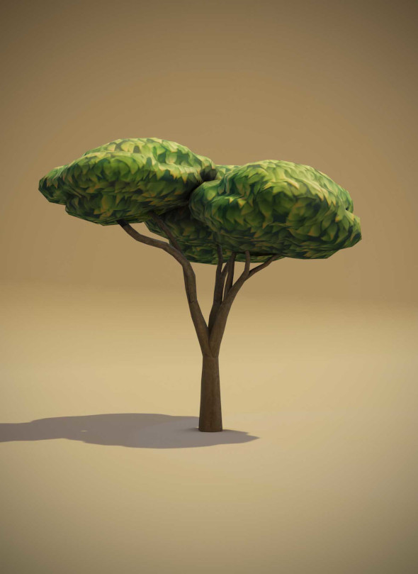 Cartoon Acacia Tree 3D Model