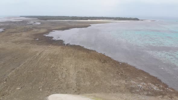 Aerial View of Sandbank in the Ocean at Low Tide Covered with Seaweed Zanzibar