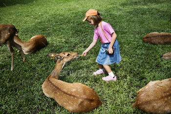 Young caucasian girl feeding deer at the zoo / Photodune, Misc