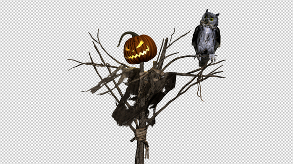 Pumpkin Scarecrow and Horned Owl - Transparent Loop alt