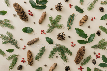 Creative winter natural pattern with pine cones and berries. Nature concept. Floral Greeting card. / Photodune, Misc