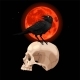 Vector Illustrarion of Raven and Human Skull - GraphicRiver Item for Sale