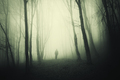 Mysterious silhouette in surreal forest with fog - PhotoDune Item for Sale