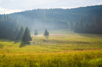 Summer mountain meadow / Photodune, Misc