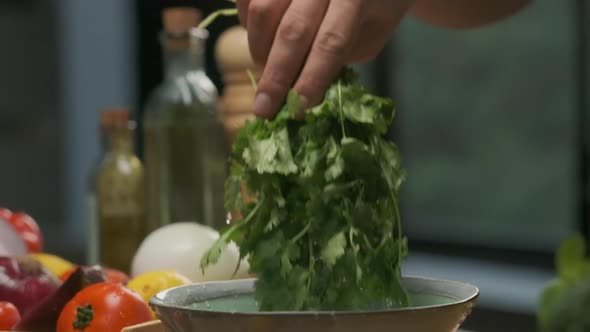 Professional Chef Washes Cilantro Leaves