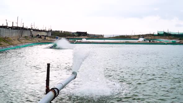 Water treatment in aquaculture center for shrimp farming in Vietnam