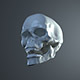 Skull - 3DOcean Item for Sale