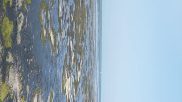 Zanzibar Tanzania  Vertical Video of Low Tide in the Ocean Near the Coast Slow Motion