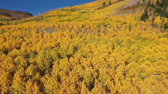 Rising aerial viewing mountainside covered in Fall colors