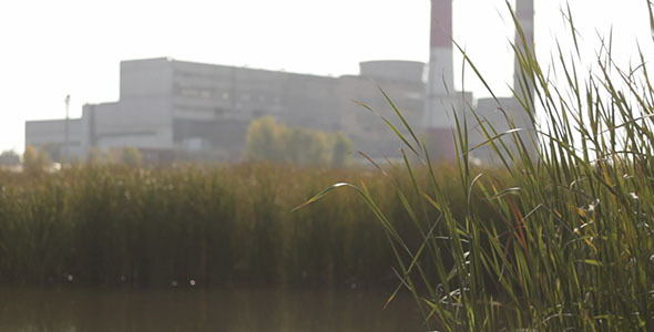 Green Grass With Lake And Factory