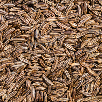 dried caraway seeds close up / Photodune, Misc