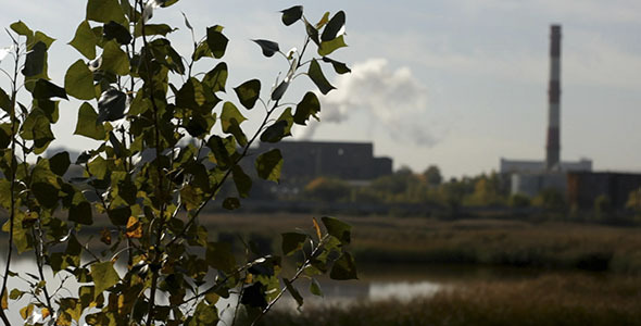 Green Leaves And Industrial Smokestack