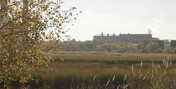 Yellow Autumn Tree And Abandoned Building