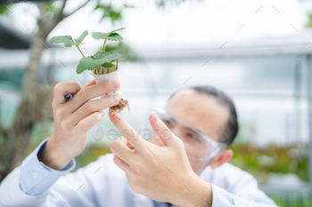 agriculture scientist working to research a green vegetable plant in a field of biology laboratory / Photodune, Misc