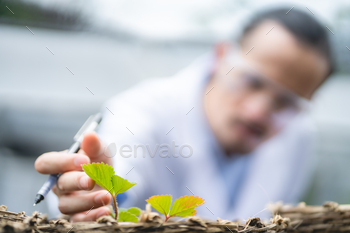 agriculture scientist working to research a green vegetable plant in a field of biology laboratory / Photodune, Misc