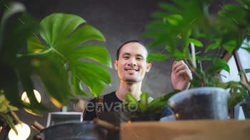 young Asian man are happy with growing plant in small green garden at home, hobby lifestyle / Photodune, Misc