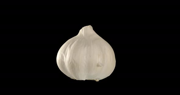 Head Of White Garlic. Rotation. Alpha Channel