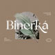 Binerka - Stylish Serif Font - GraphicRiver Item for Sale
