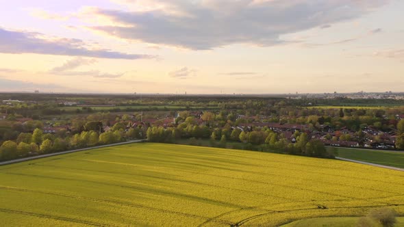 Rural sunset over a springtime yellow blooming field, flying a backward reveal shot at the sunset