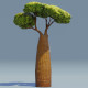Cartoon Baobab Tree 3D Model - 3DOcean Item for Sale