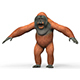 Orangutan With PBR Textures - 3DOcean Item for Sale
