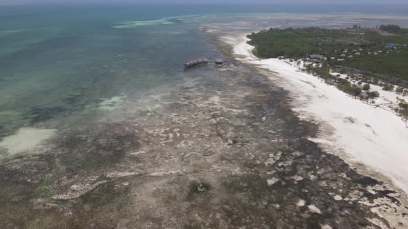 Shore of Zanzibar Island Tanzania at Low Tide Slow Motion