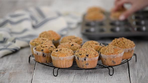 Put Blueberry Muffins on Rack for Cooling