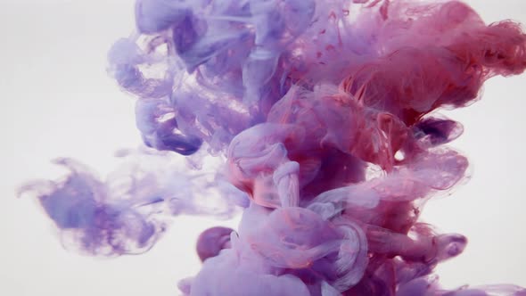 Violet and Pink Paints are Mixed in Water