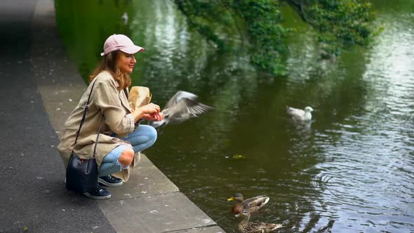 Slow motion shot of woman feeding birds at lakeside