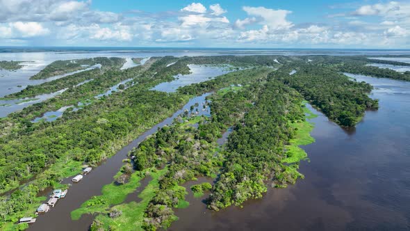 Amazon River at Amazon Rainforest. The biggest tropical rainforest of world. Manaus Brazil. Amazonia