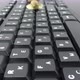 Snail on the keyboard and internet speed. - VideoHive Item for Sale