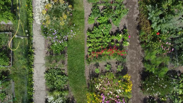 Flower Garden botanical Aerial flying over flowers and butterflies, topdown Aerial