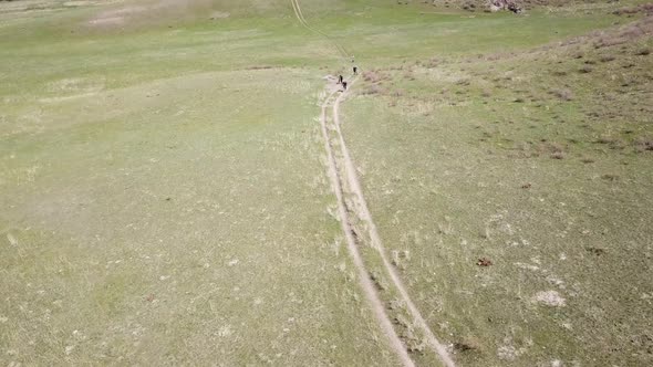 A Group of Cyclists Ride on the Green Steppe