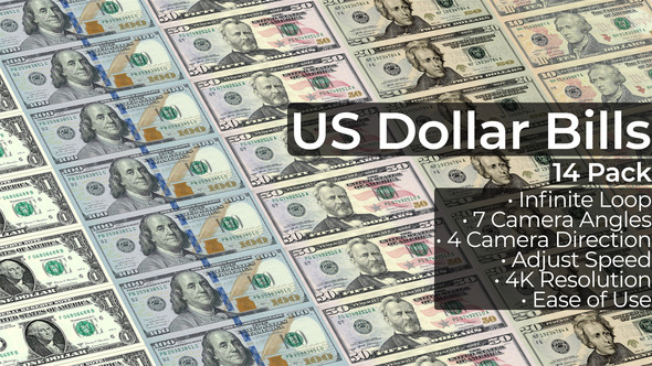 US Dollar Bills - 14 Pack