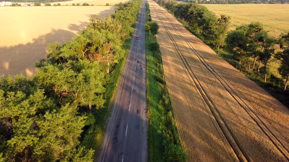 Aerial Drone View Flight Over Highway Wheat Field and Green Trees at Sunset Dawn