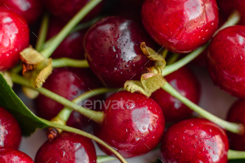 Fresh delicious red bright cherry berries torn in the summer garden / Photodune, Misc