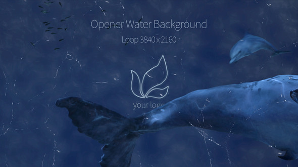 Opener Water Background