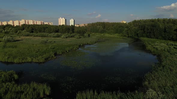 Top View of the Svisloch River in the City's Loshitsa Park with Lilies at Sunset