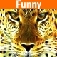 Sneaky Comedy
