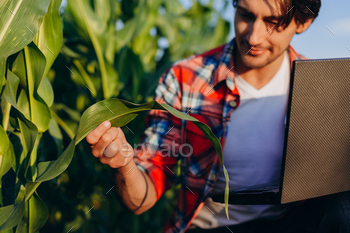 d and regard a plant with laptop