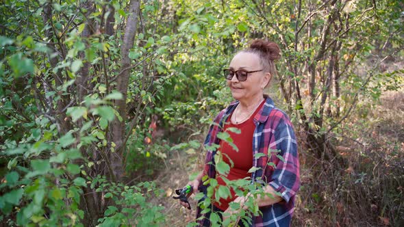 Happy Beautiful Mature Woman in Glasses Works in the Garden Cuts Dry Branches