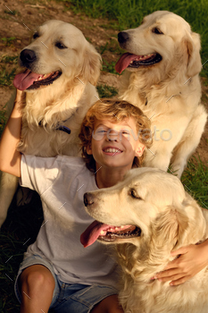 Happy boy embracing dogs in park