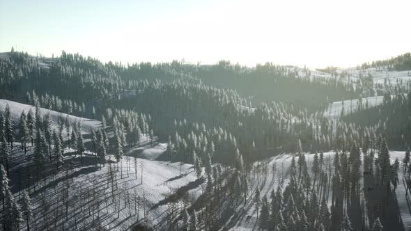 Winter Landscape Glowing By Sunlight in the Morning