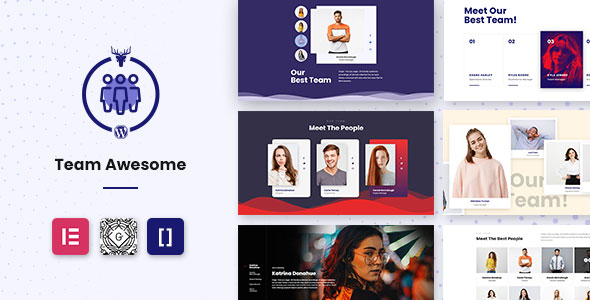 Team Awesome Pro - Team Member Showcase WordPress Plugin